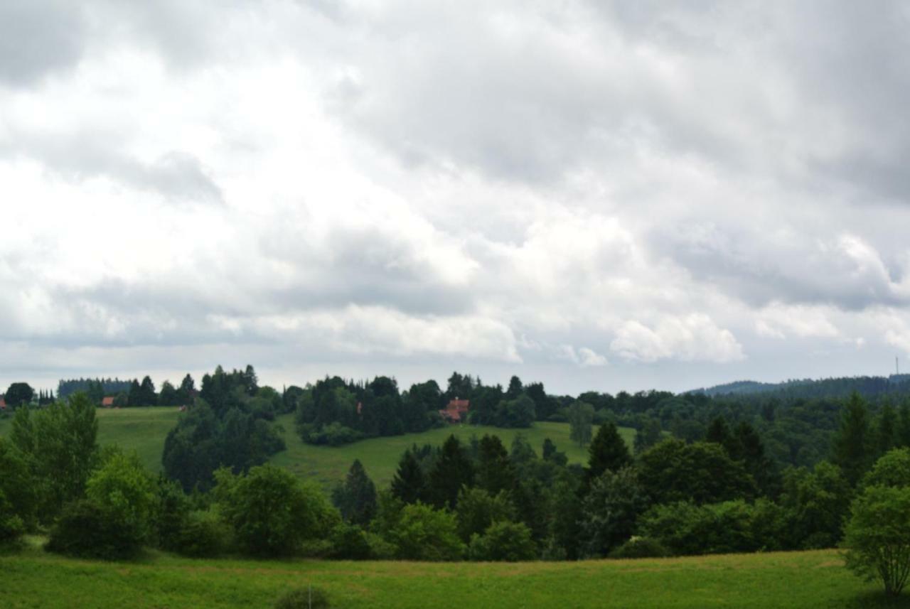 Ferienwohnung Harz-Flair 264 Hohegeiß Eksteriør billede